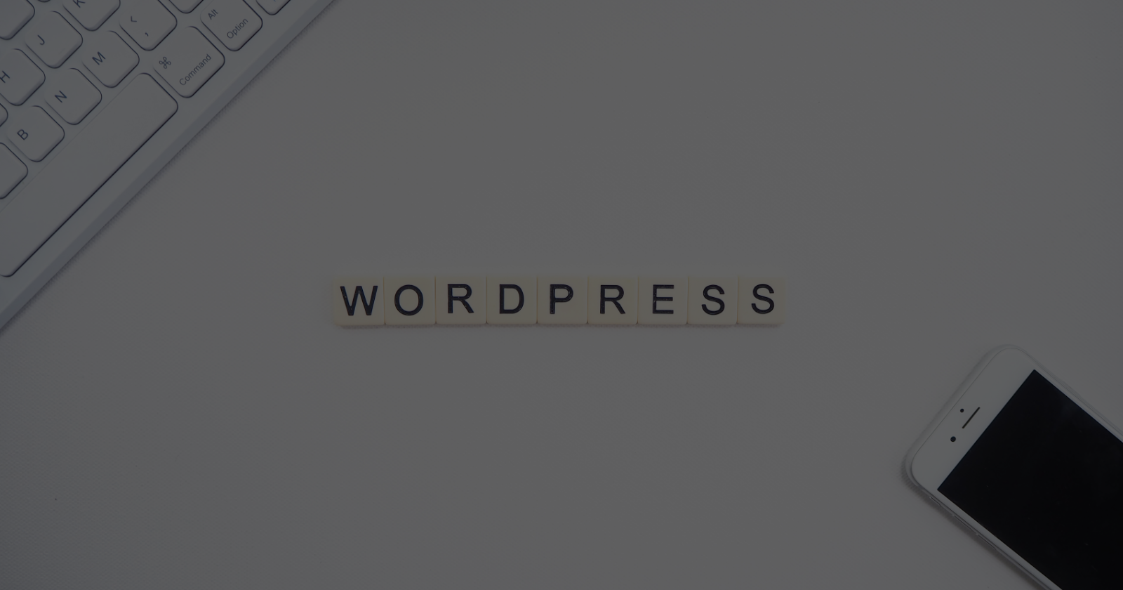 You are currently viewing WordCamp Entebbe: Get Ready for the Biggest WordPress Event of 2023 in Africa